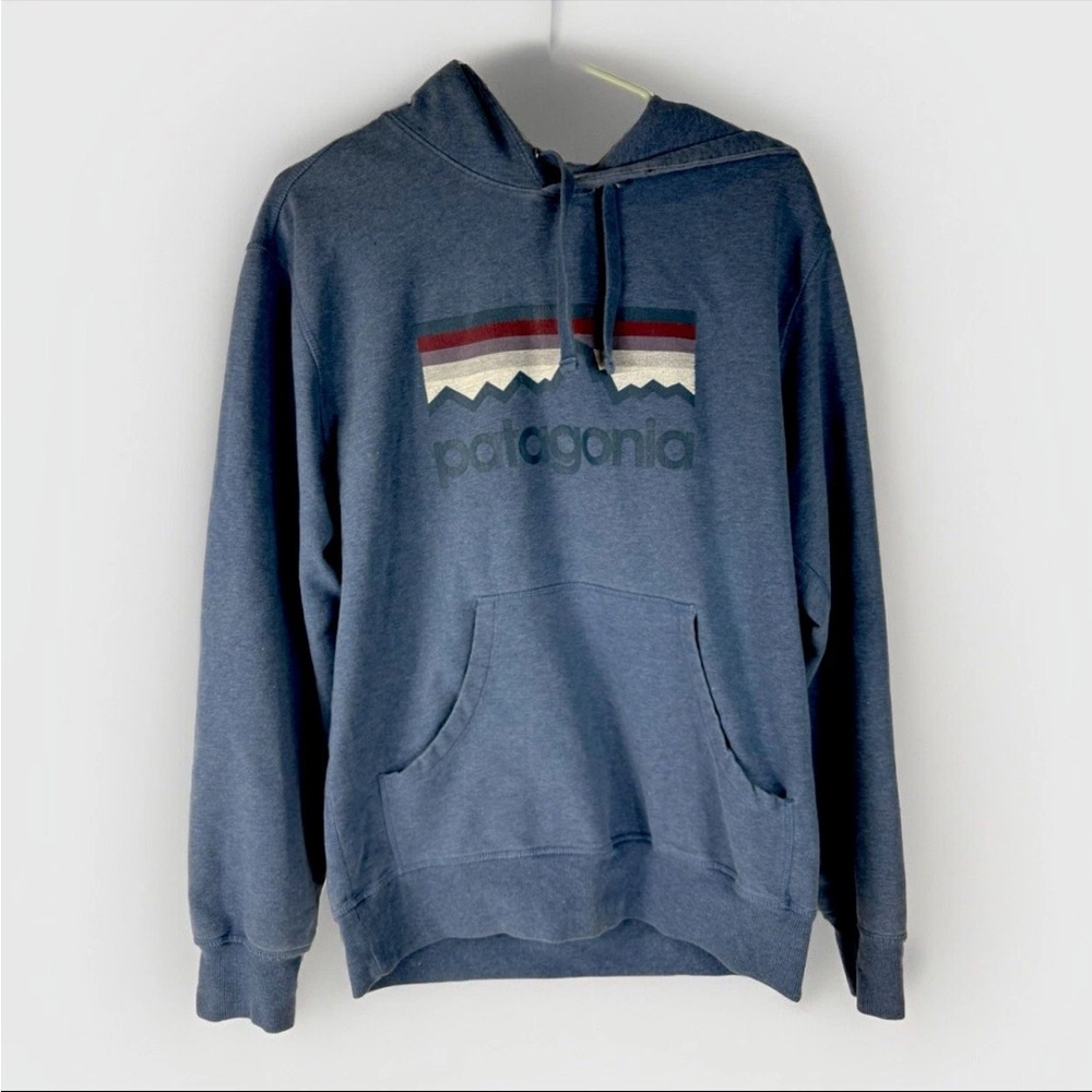 Patagonia Pullover Hoodie Blue Organic Cotton Sweatshirt